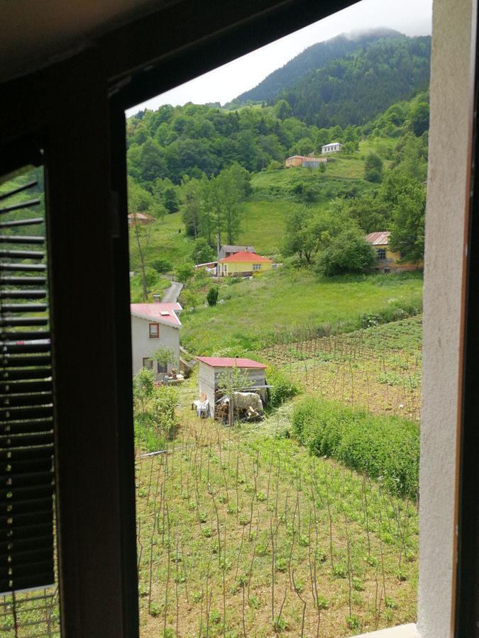 Hamsikoy Hotel 外观 照片
